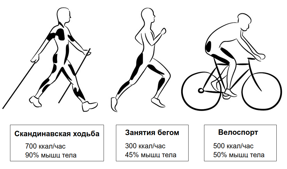 Техники ходьбы и бега