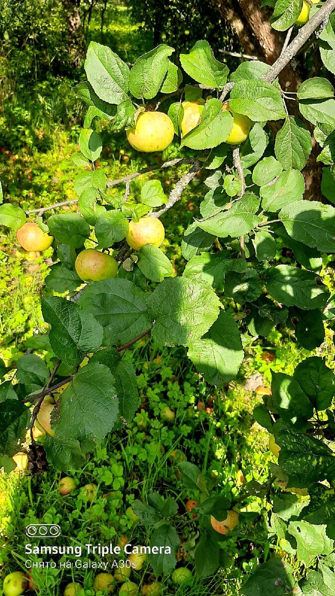 Фото автора .Для обложки.