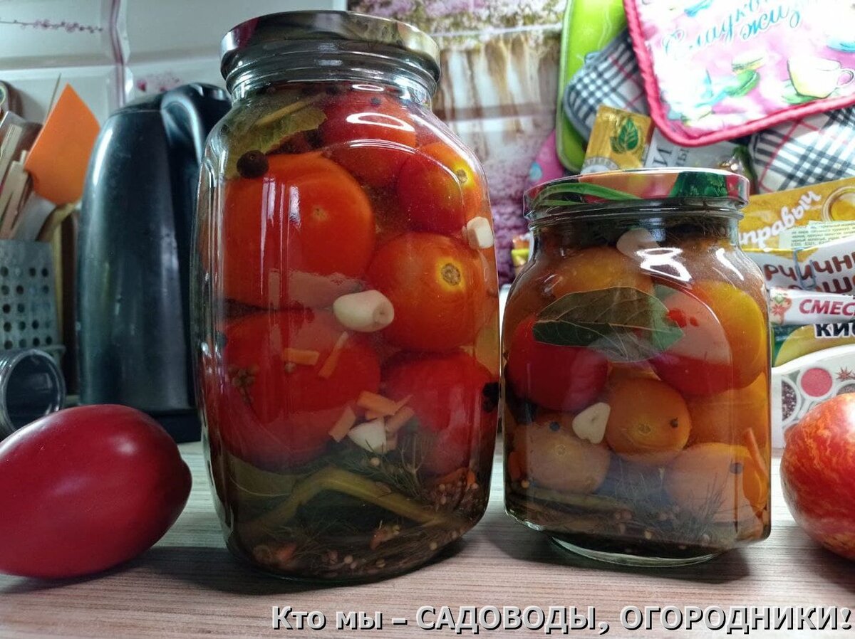 Очень вкусные, домашние помидоры