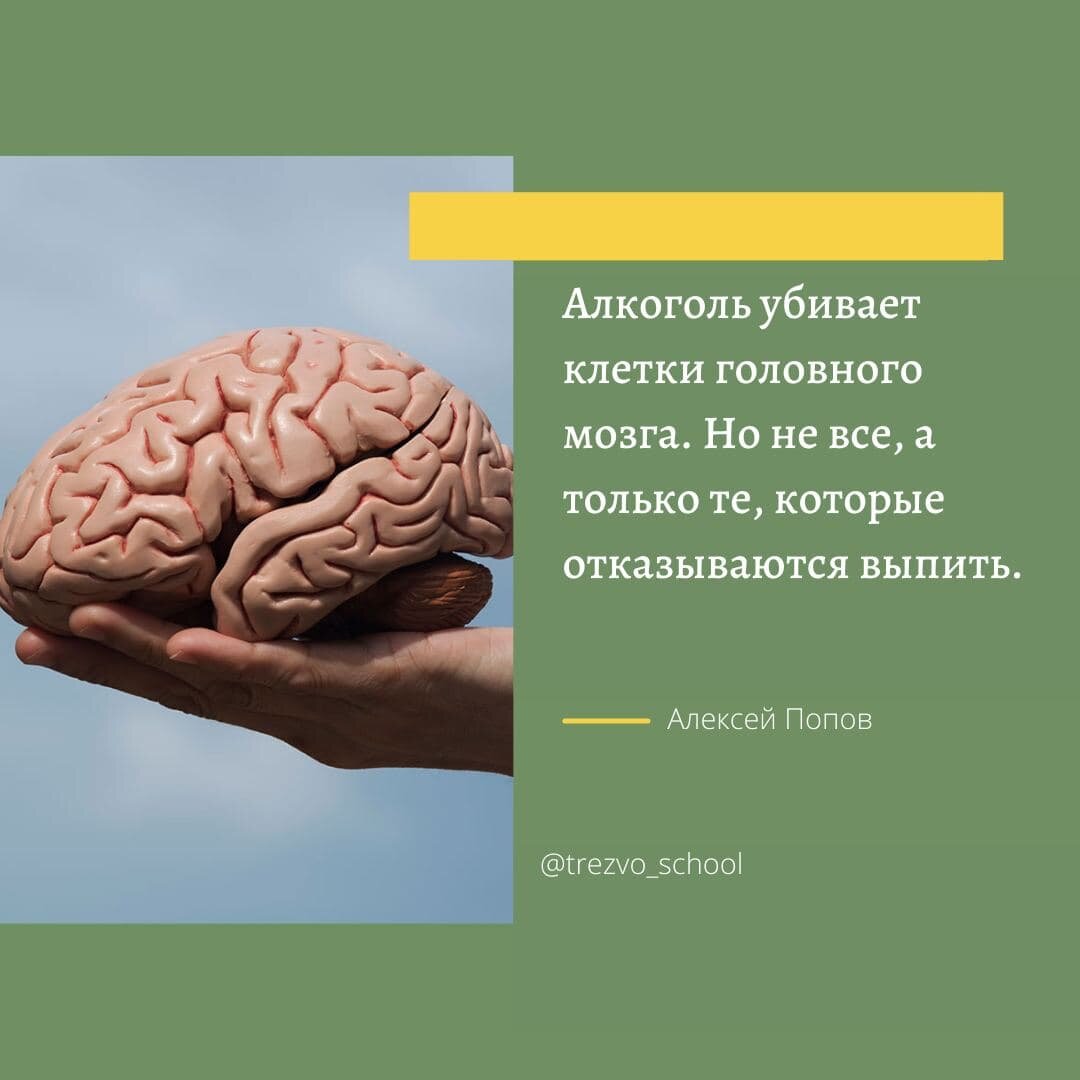 #trezvo_school_цитаты