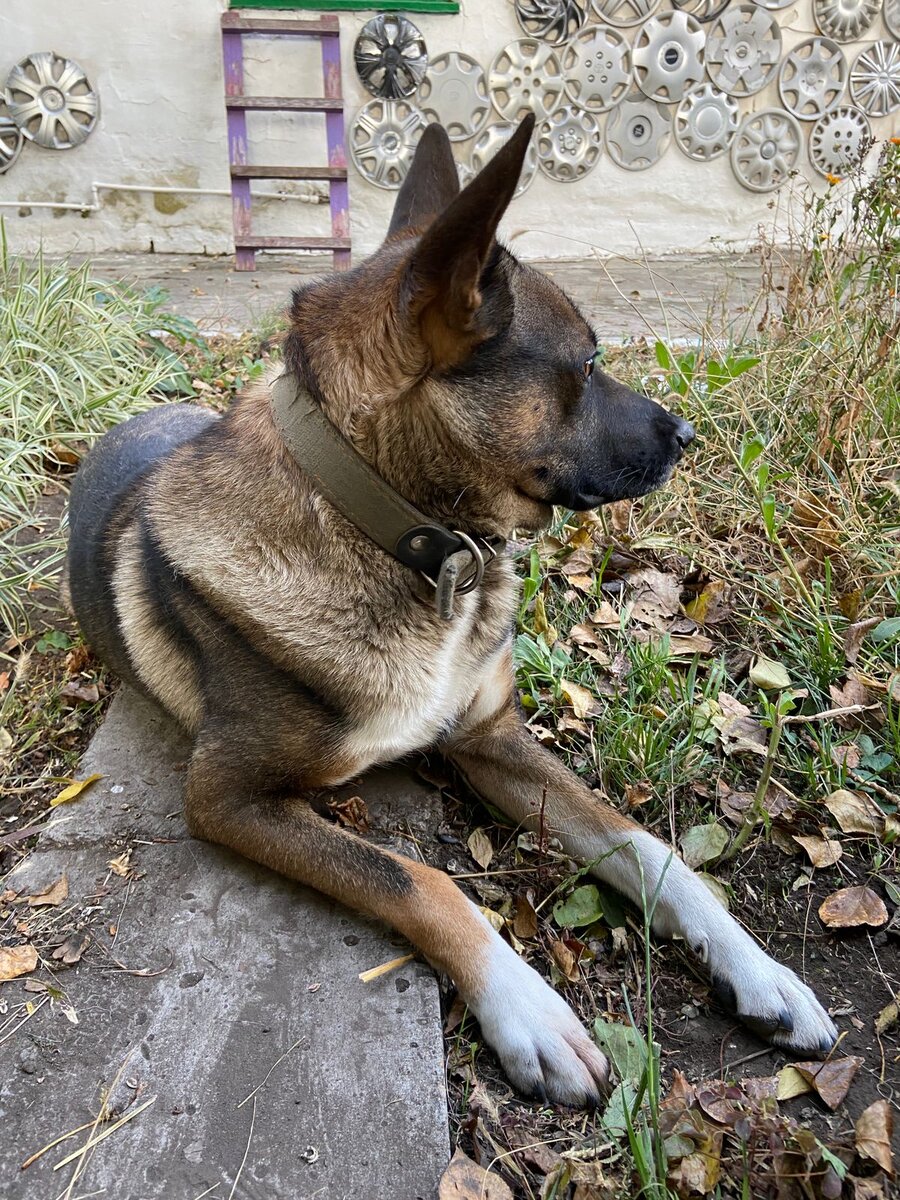 Не хочет разговаривать.