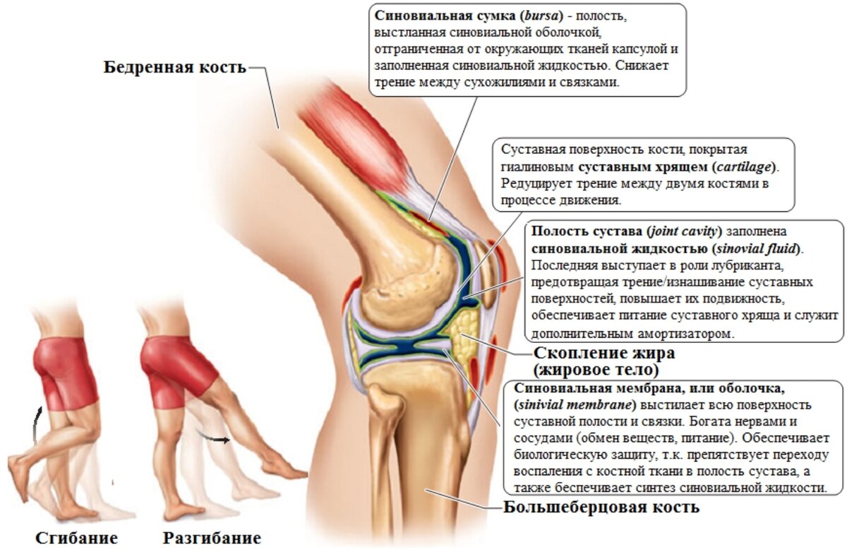 немеют ноги после сидения на стуле