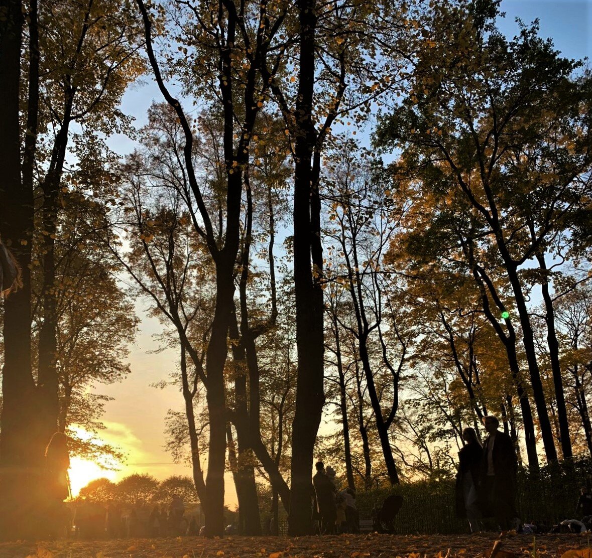 Вечерняя прогулка. Работа Татьяны Федуловой.