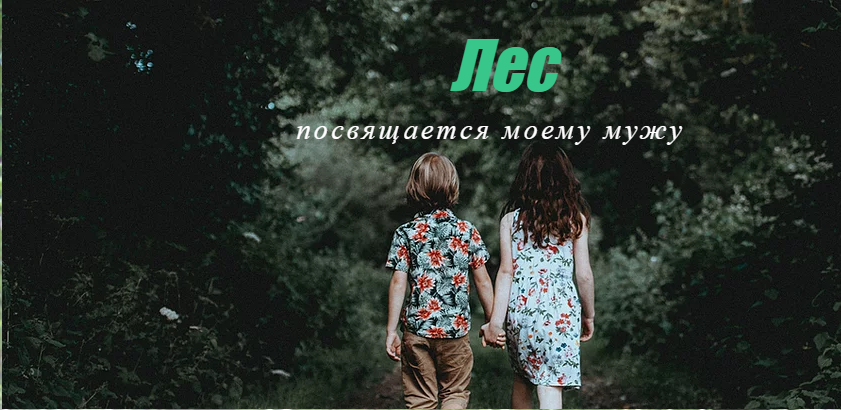 фото взято с официального веб-сайта "Ирина Брестер: писатель - прозаик и поэт" (страница "Стихи/Избранное") https://www.irina-brester.ru/избранное