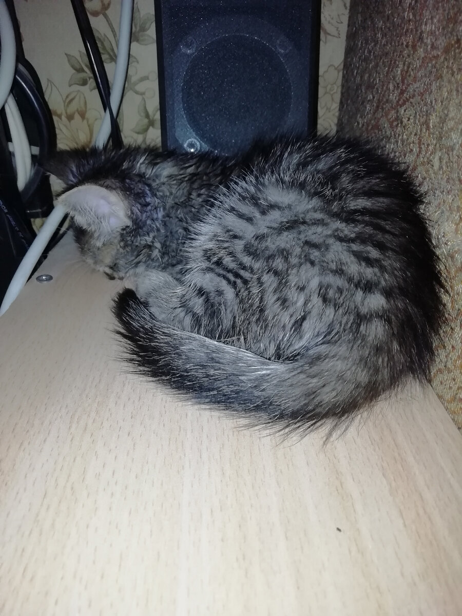 Нашел укромный уголок.