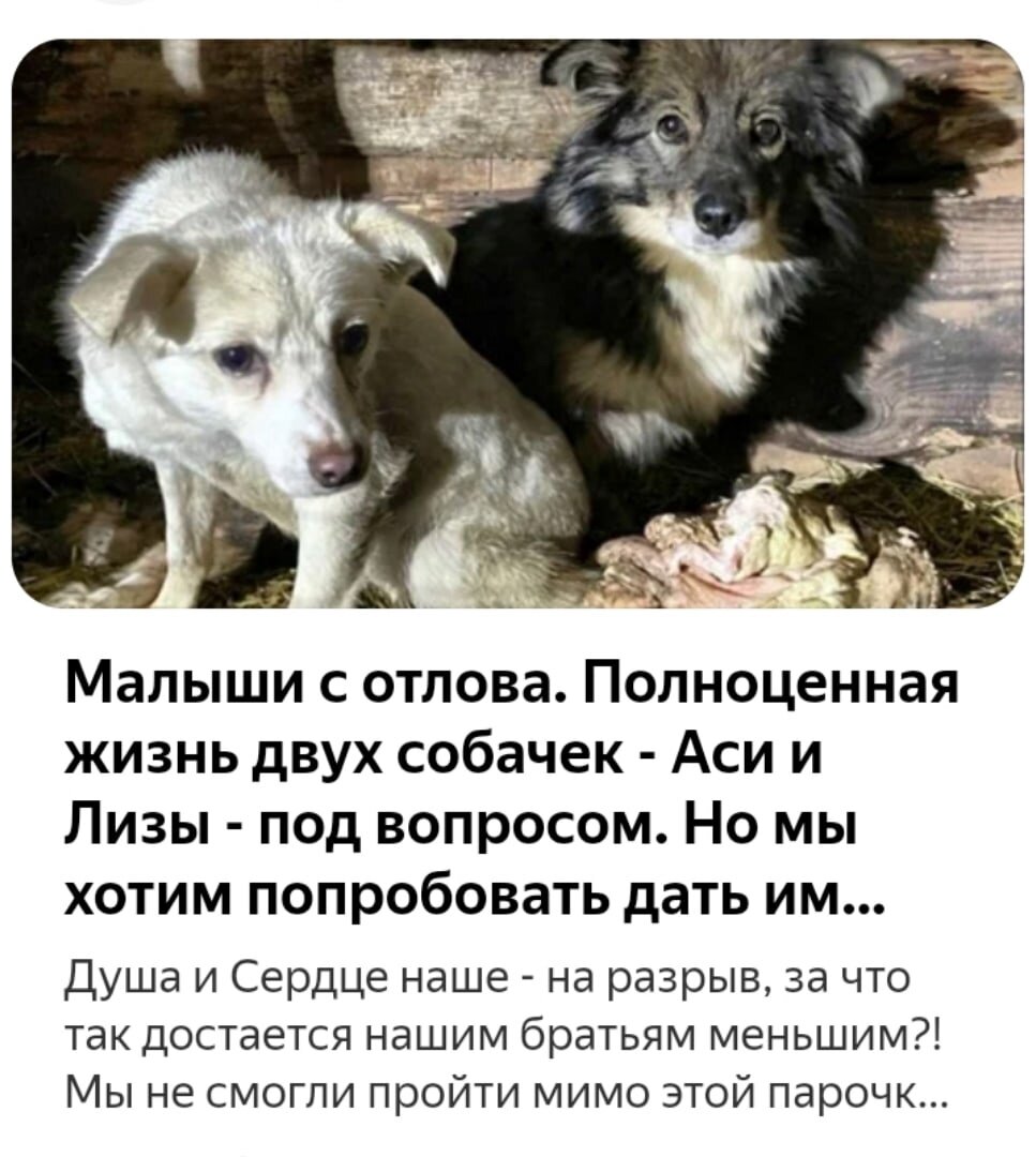 Наша статья про малышек на канале