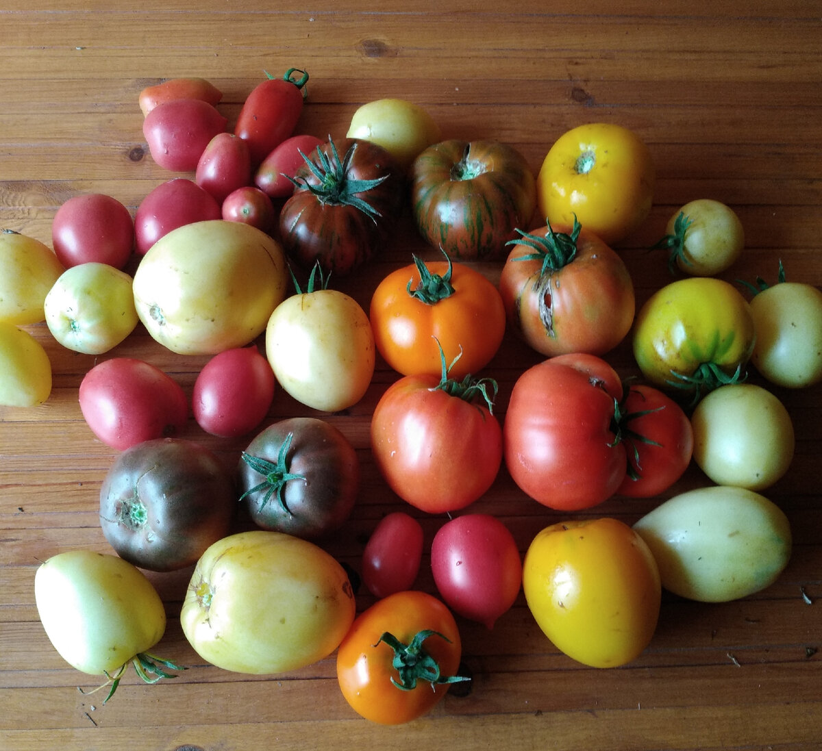 Огородный светофор. Фото автора