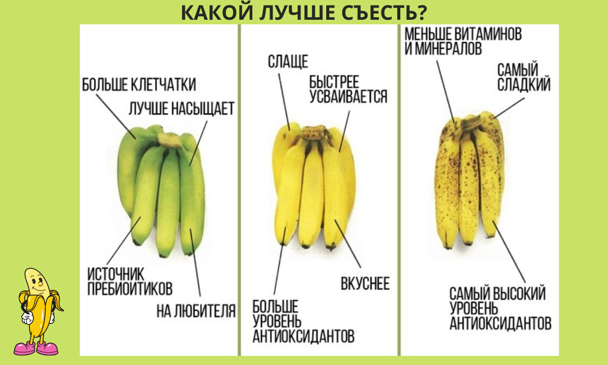 Можно есть зеленые бананы. Таблица созревания банана. Таблица степени зрелости бананов. Стадии созревания бананов. Степень созревания бананов.