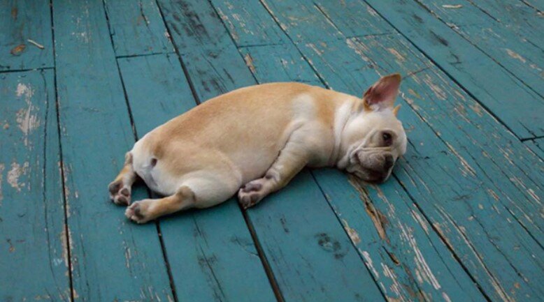 Как вылечить депрессию. Какие виды депрессии существуют?