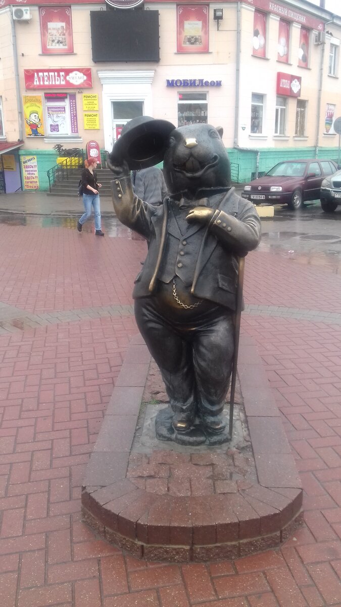 Бобр, вид спереди. 