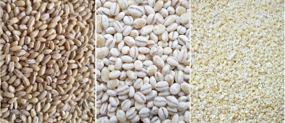 Перловка белая шлифованная. Отличие перловки от пшеницы. Какая крупа полезнее ячневая или пшеничная. Испорченная перловка как выглядит.