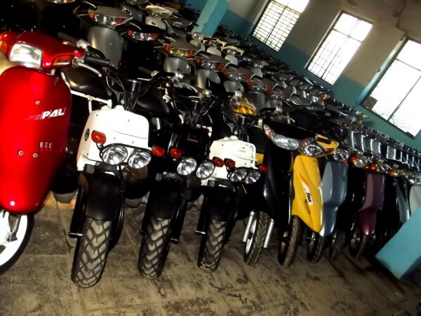 Во Владике пополнение из страны восходящего солнца