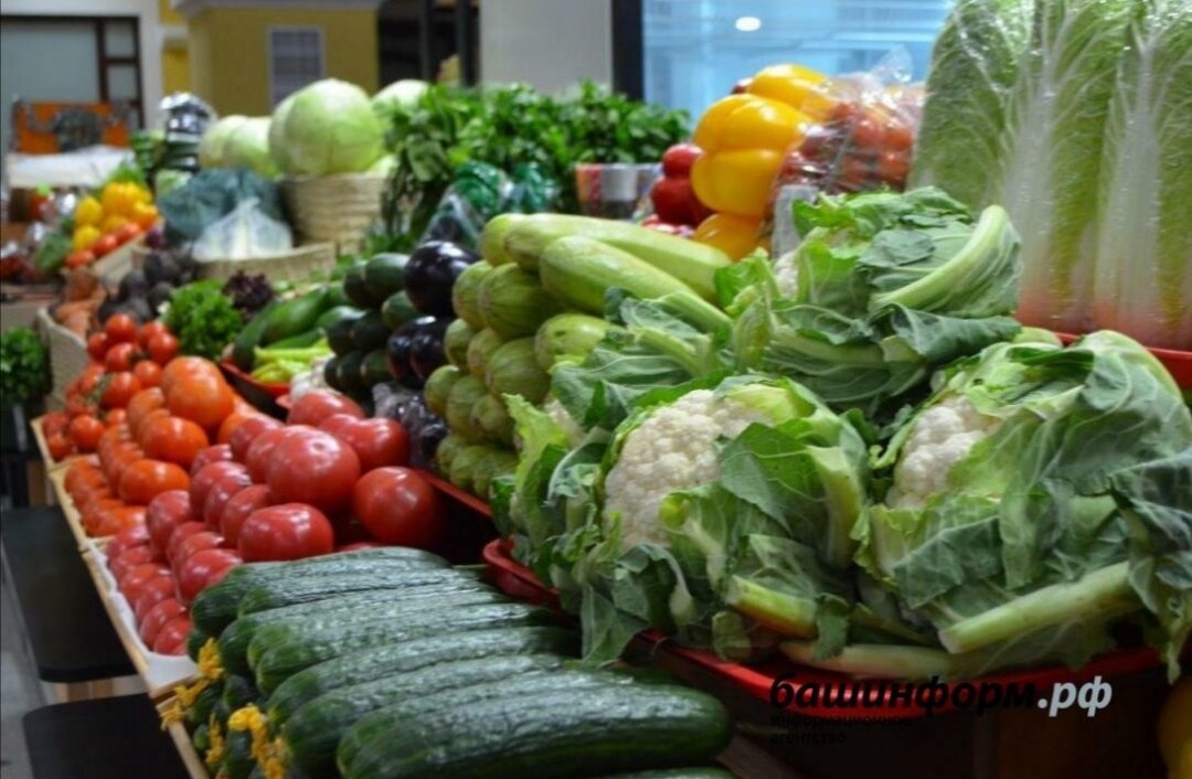 Фото: ИА Башинформ. 