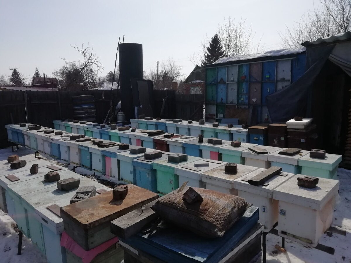 личное фото автора