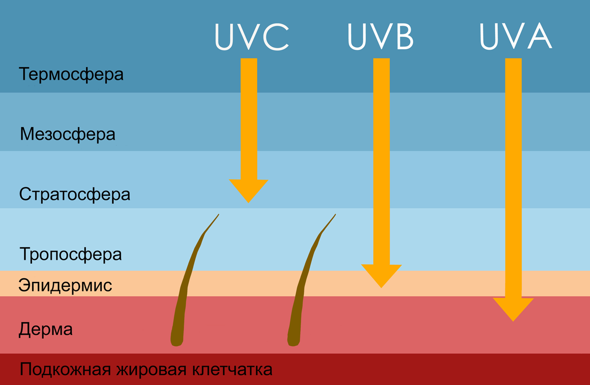 Фото: из интернета