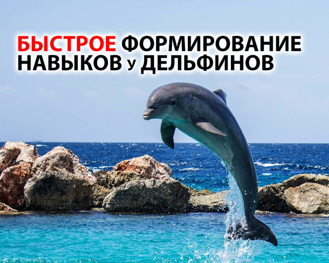 Источник https://pixabay.com/images/id-906176/