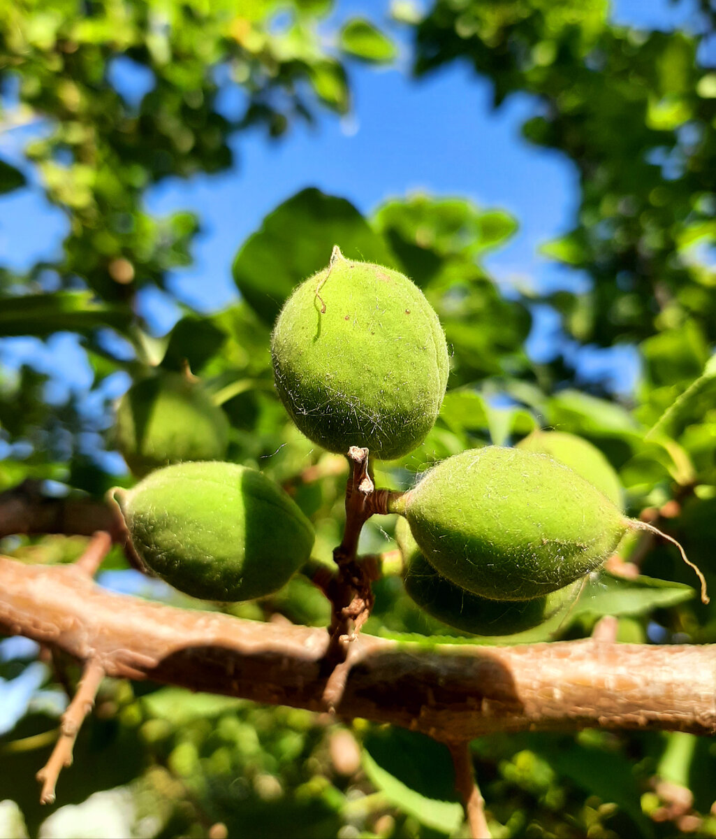 Утешьтесь – смерть не навсегда! | Про Жизнь и Счастье | Дзен