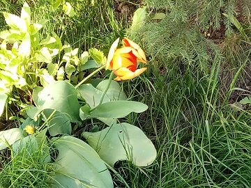 Фотография из личного архива автора