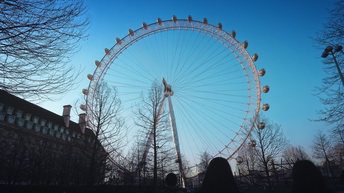 Photo by Maile Ortiz on StockSnap
