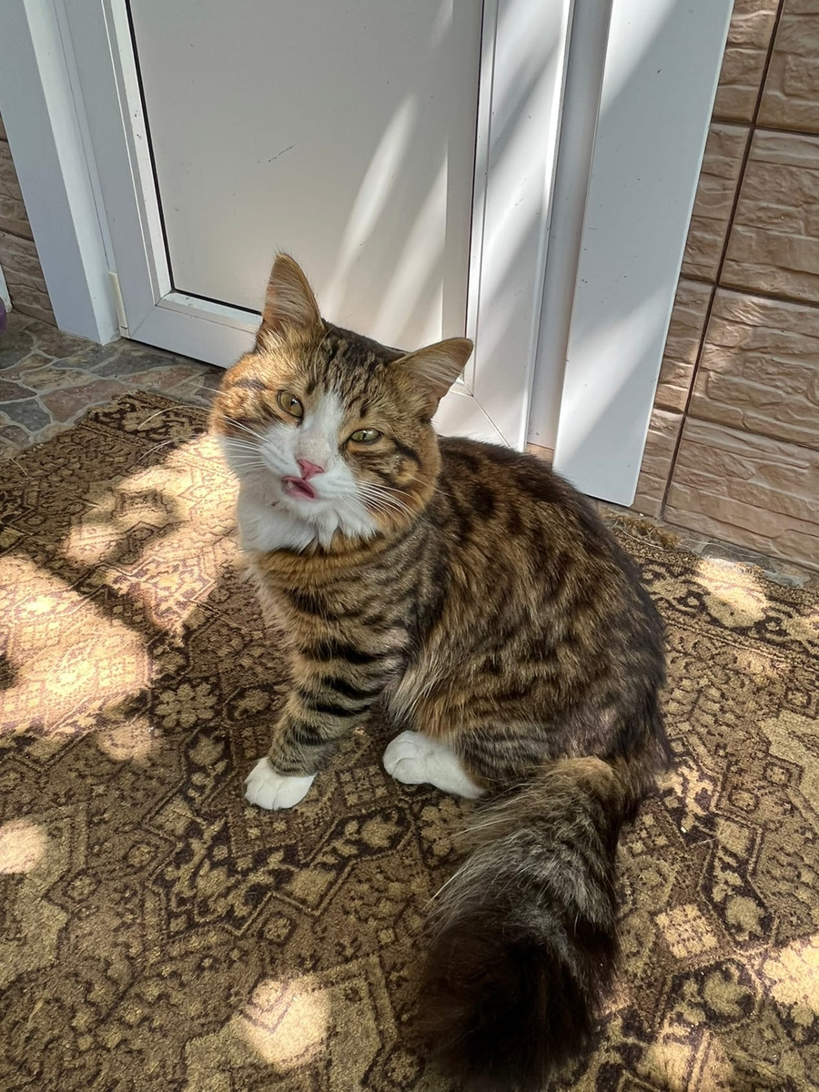 Фиджи, фото автора