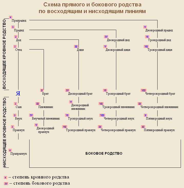 Карта родственников. Схема родственников по степени родства. Схема троюродного родства. Таблица родственников кто кому приходится. Схема родства троюродных сестер и братьев.