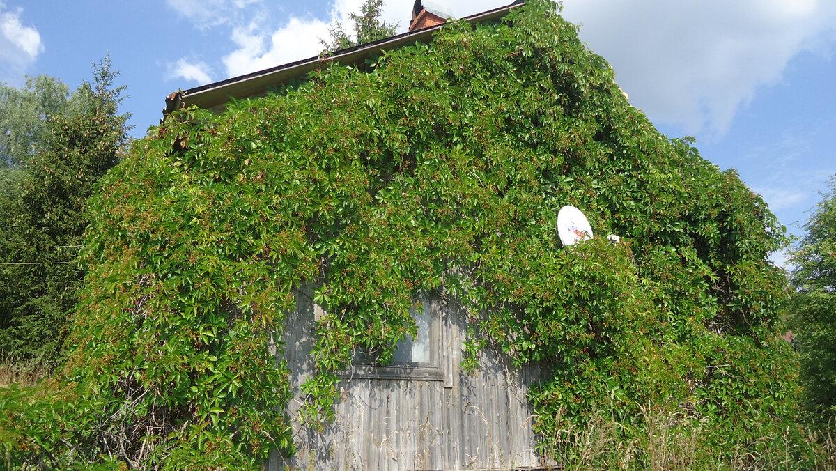 Заброшенный дом по соседству.