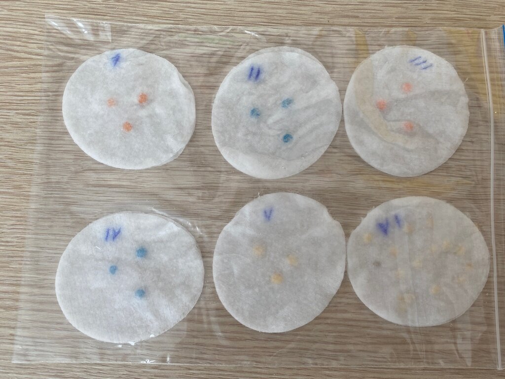 Тут на самом деле баклажаны с перцами прячутся, но помидоры я проращивала так же