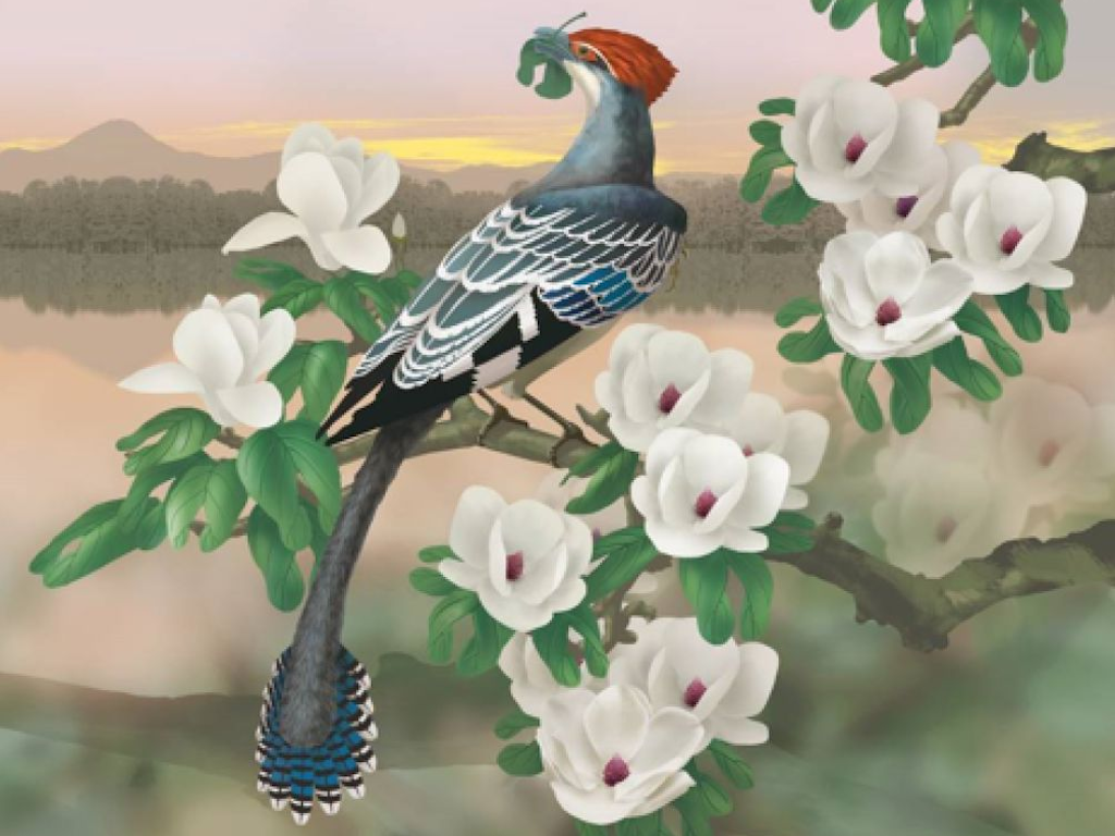 Вот примерно так первые едоки фруктов и выглядели.