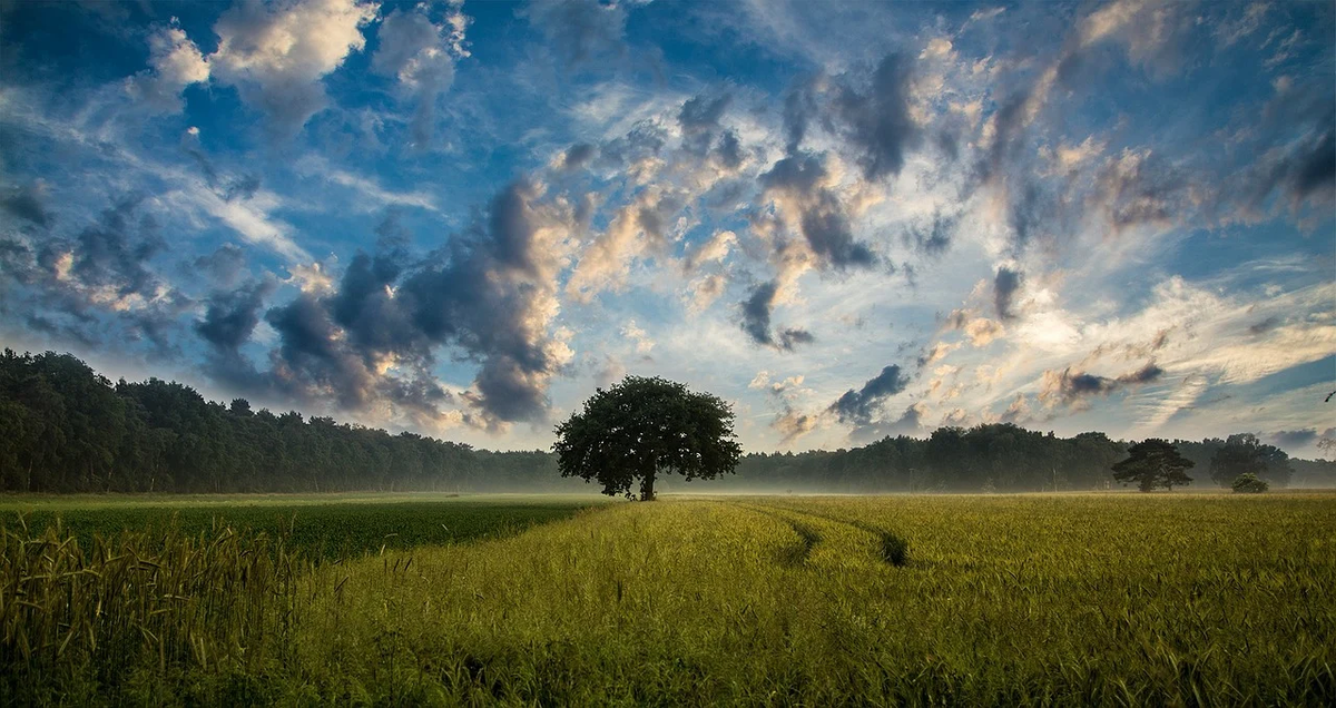 фото с https://pixabay.com/ru/