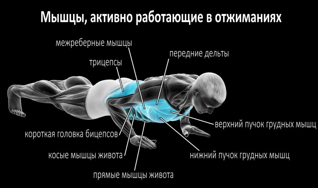 Себя показать: как привести тело в форму не выходя из дома