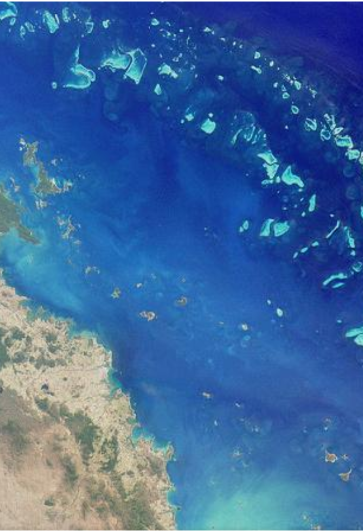 Большой Барьерный риф простирается вдоль восточного побережья Австралии более чем на 2000 километров. Его считают одним из величайших чудес света, а ничего подобного на нашей планете нет вообще.