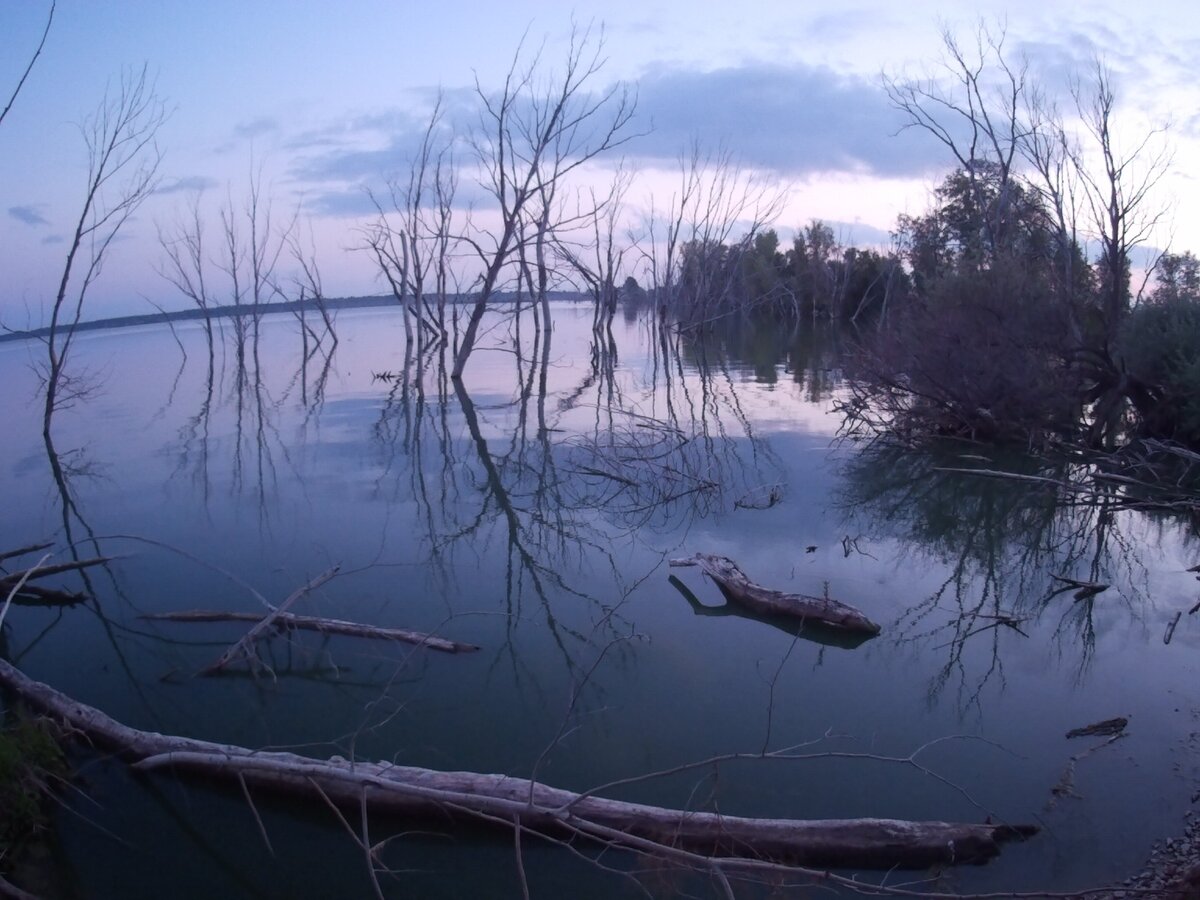 Неручанское водохранилище орловская область Неручанское водохранилище орловская область