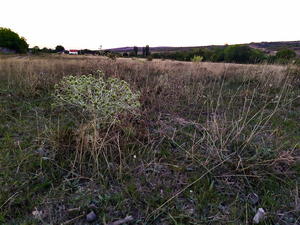 Последняя неделя лета. Крым