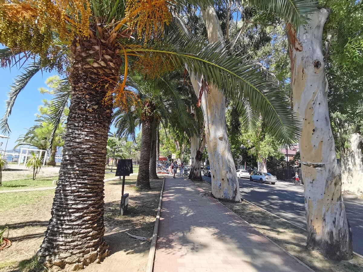 Набережная Гагры, август 2020