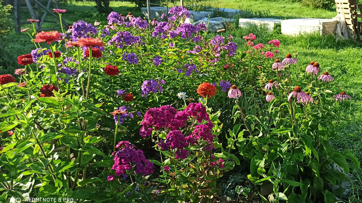 Ставьте "Класс" и подписывайтесь на канал!