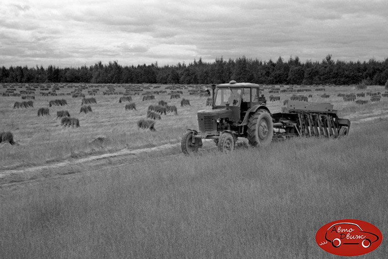 Начало колхозов в ссср. Колхоза "12-й октябрь" Костромской обл. Колхоз имени Фрунзе Курганская область. Деревня Совхоз колхоз. Совхоз СССР.