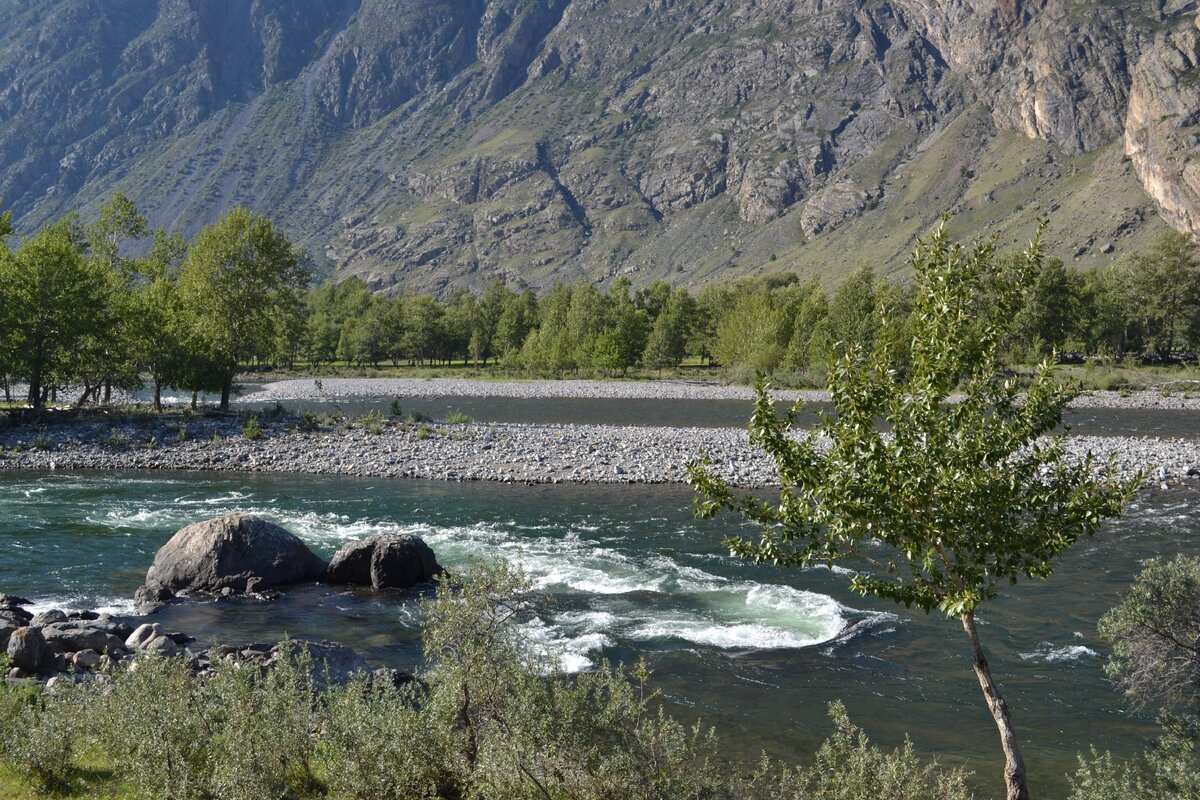 Река чулышман горный алтай фото