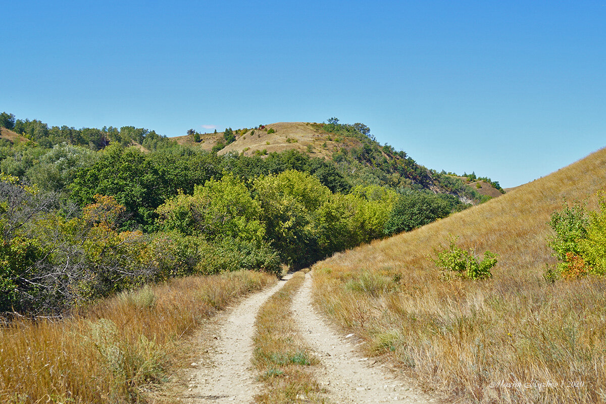 холмы равнины овраги шилово. степная балка. курская область овражно балочный рельеф. балка лог овраг что это. территория балка.