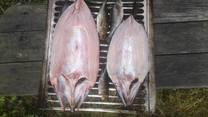 Подготовленная для запекания рыба