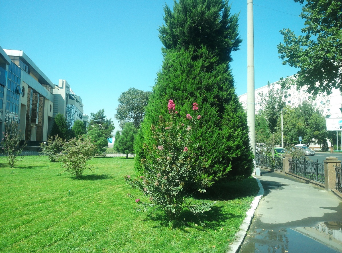 Август 