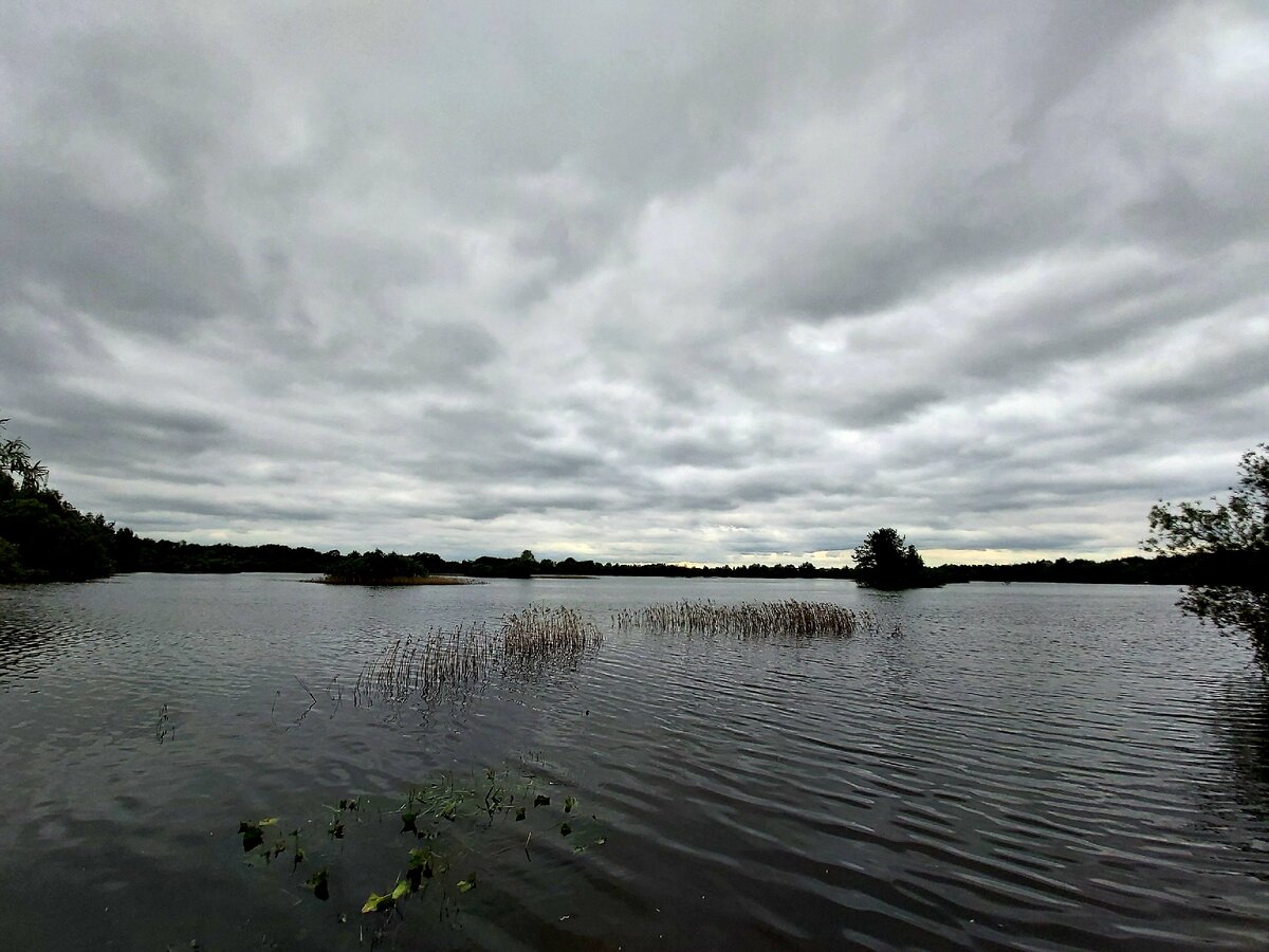 Подмосковная природа, фото автора