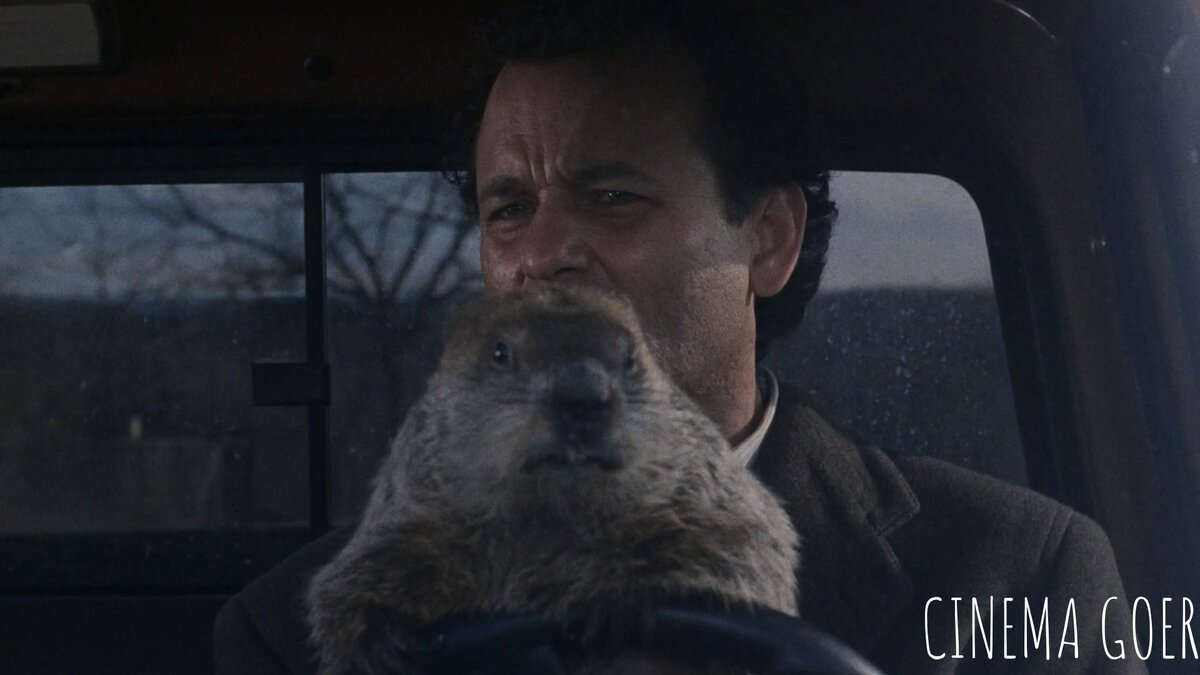 Ставь лайк и листай вправо, что бы увидеть ответы)