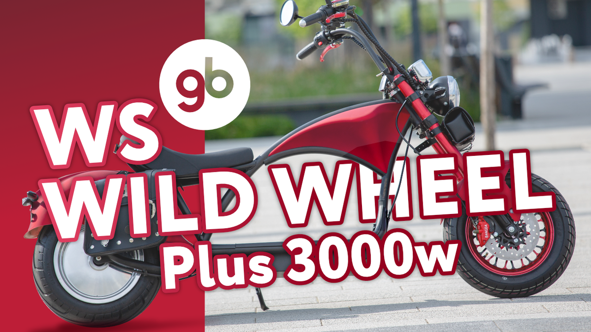 Электроскутер Citycoco WS-Wild Wheel 3000W