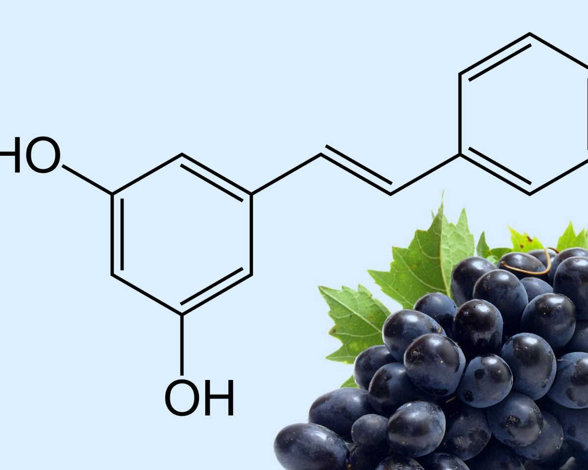 Антиоксидант Ресвератрол. Ресвератрол формула. Ресвератрол красного винограда. Ресвератрол из винограда.