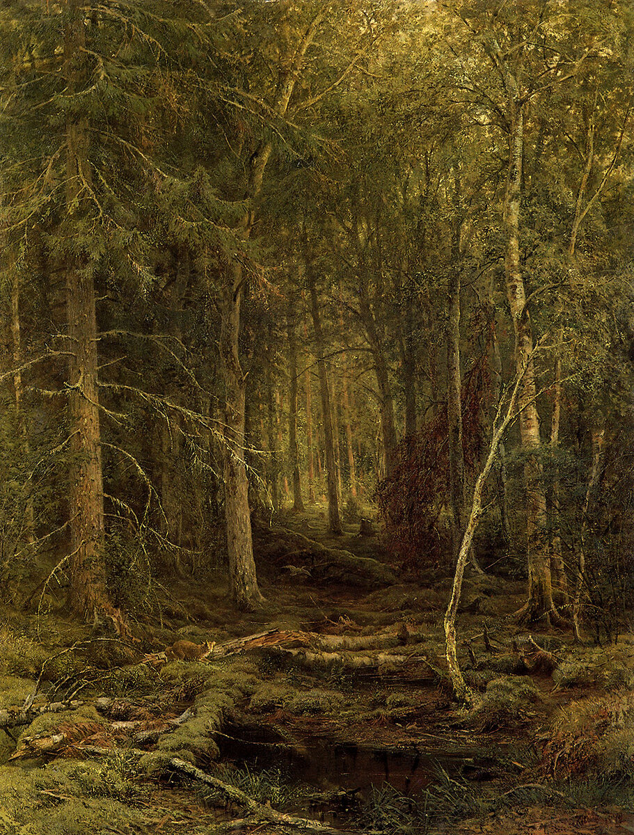 Лесная глушь, 1872 