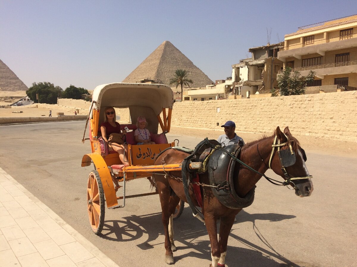 Mahmaya Египет. Повозки в Египте. Туристы в Египте. Египетские автомобили. Почему он едет в египет