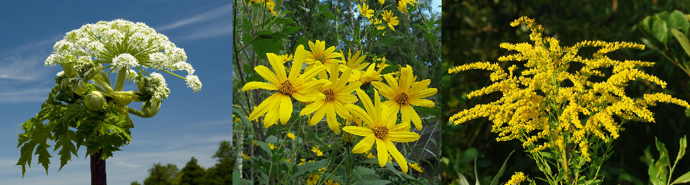 Спасибо, но мы - пас