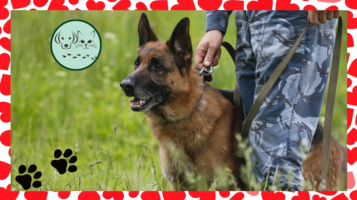 Ставьте лайки, подписывайтесь на канал