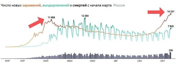 Статистика Яндекса