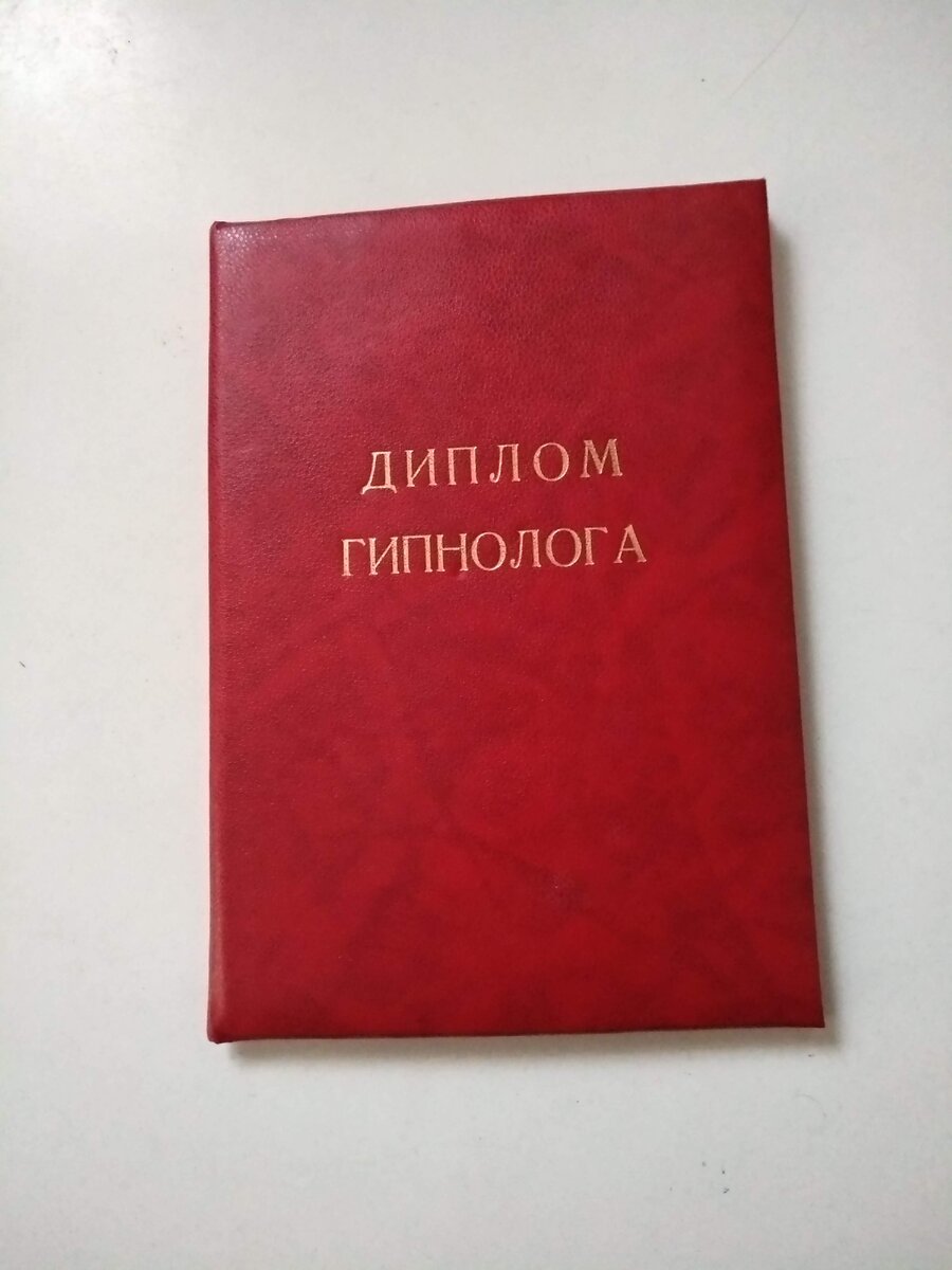 Настоящий. Фото счастливого обладателя